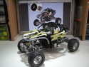 M 1014 Tarantula 1 (0596) M 1014 Tarantula 1 (0596)