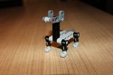 Wachhund Wachhund