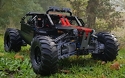 4WD RC Offroad Buggy 2.0 4WD RC Offroad Buggy 2.0