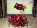M 1248 Krabbe M 1248 Krabbe